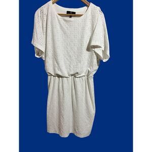 Ronnie Nicole White Dress